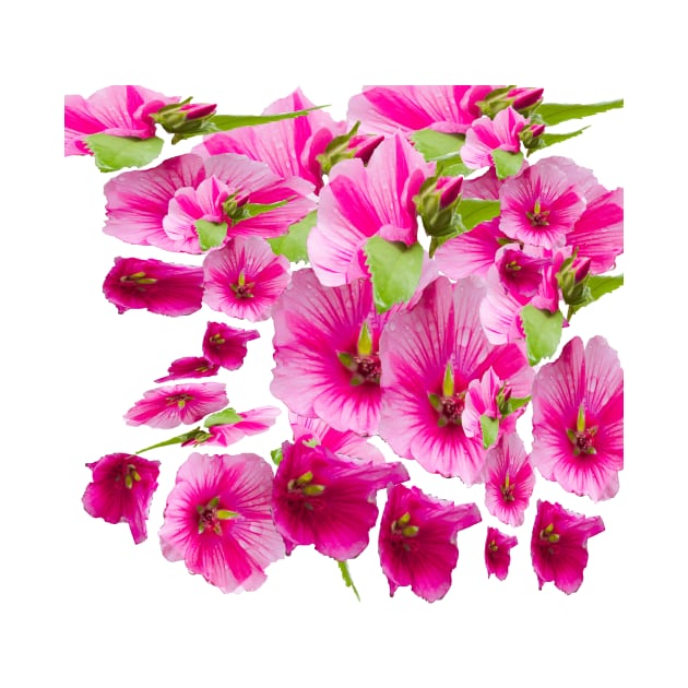 pink flowers aplenty by bywhacky