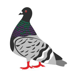 Pigeon No. 4 T-Shirt