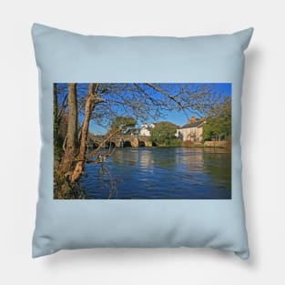 River Avon, Christchurch, January 2024 Pillow