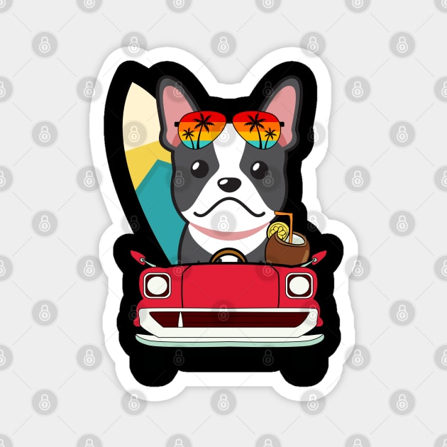 Surfer french bulldog driving to the beach Magnet by Pet Station