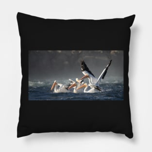 Feeding Frenzy- Pelicans Pillow