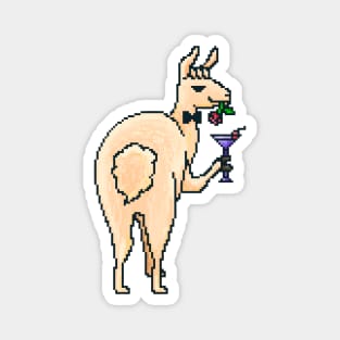 Llama. The cool llama. Magnet