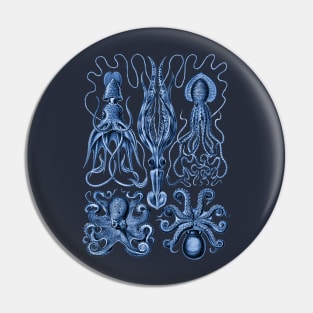 Ernst Haeckel Gamochonia Octopus Blue Pin
