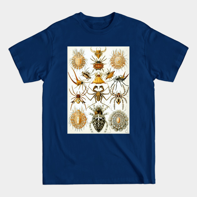 Disover Arachnids by Ernst Haeckel - Spiders - T-Shirt