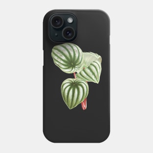 Watermelon Peperomia - Botanical Illustration Phone Case