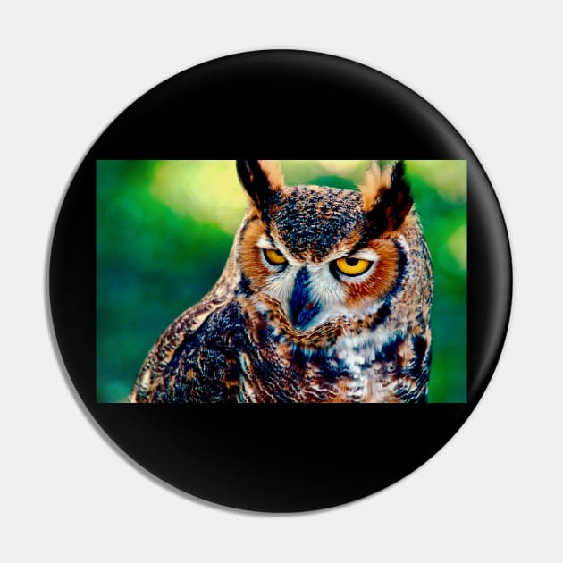 Owl Bird Pin by PhotoDesigns