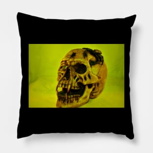 Skull with a Bullet Hole and Scorpion Pillow