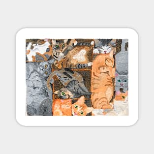 Kitty Cats in Boxes Magnet