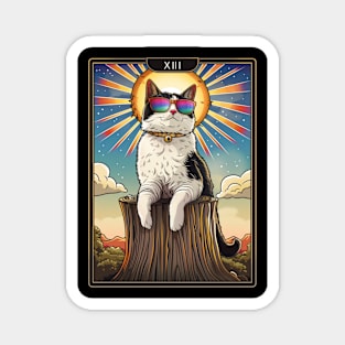 Cat Tarot Paws Of Destiny Magnet