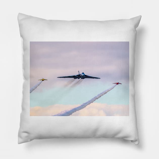 Vulcan and Gnat Pair Pillow by captureasecond