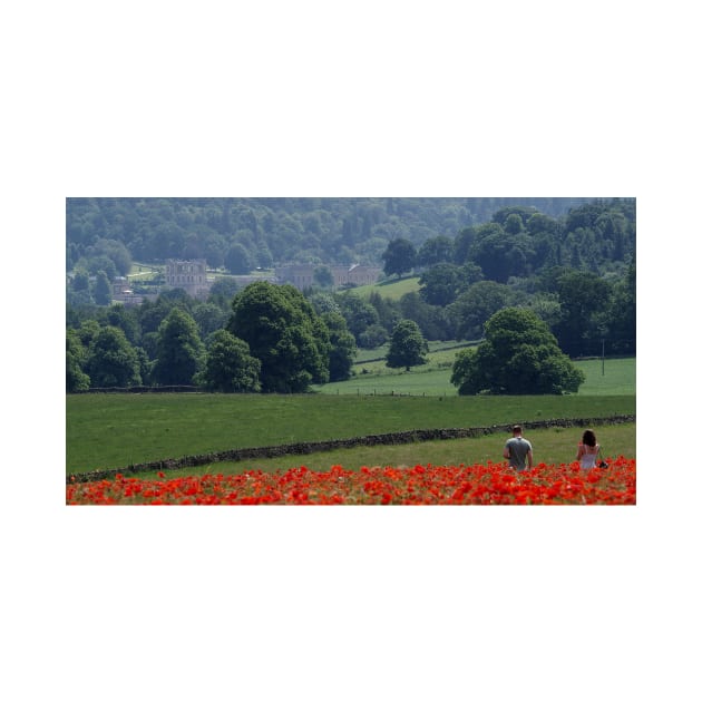 Field of poppys  near baslow in derbyshire with chatsworth house in the distance by Simon-dell