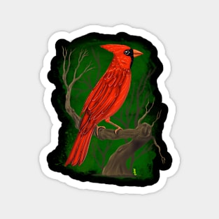 Cardinal bird Magnet