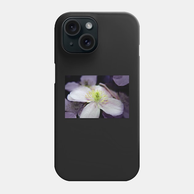 Pink Clematis flower Phone Case by InspiraImage