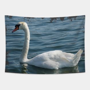 Swan Tapestry