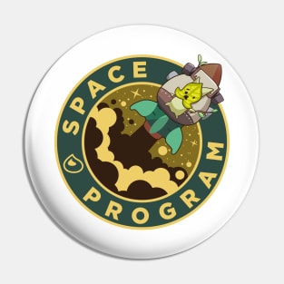 the space program Pin