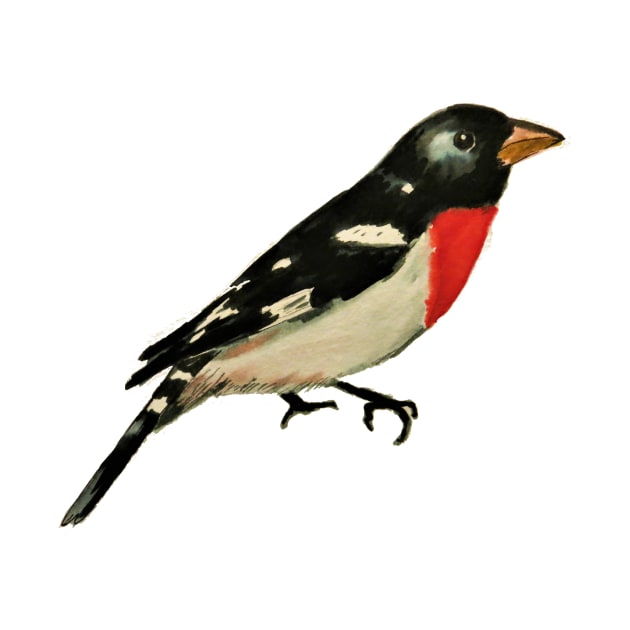 Rose Breasted Grosbeak by julyperson