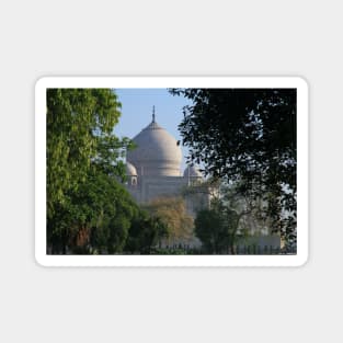 The Taj amongst the trees. Magnet