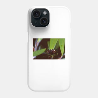 6 Horned Spider Phone Case