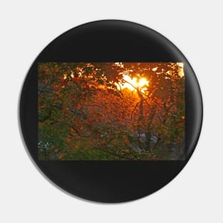 Daybreak Pin