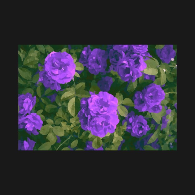 Purple Roses Impressionism by softbluehum