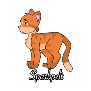 Sparkpelt Name T-Shirt