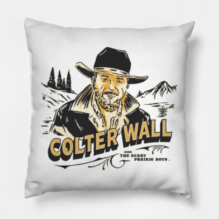 Colter wall Pillow