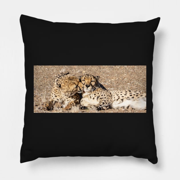 Two cheetah. Pillow by sma1050