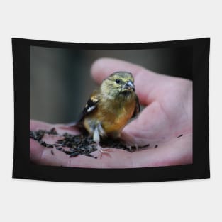 Goldfinch Fledgling & Niger Seeds... Tapestry