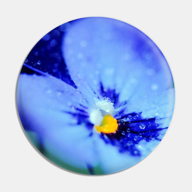 Pansy Blues Pin by micklyn