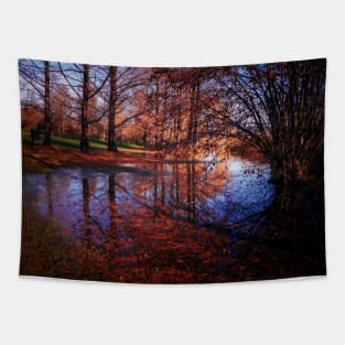 tree reflection in water, autumn fallen leaves Tapestry