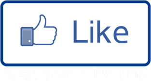 Facebook Like Magnet