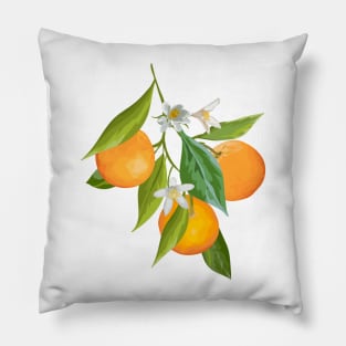 Oranges Pillow