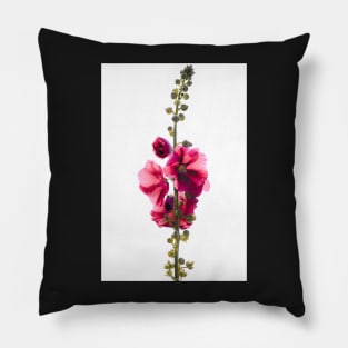 Hollyhock Pillow