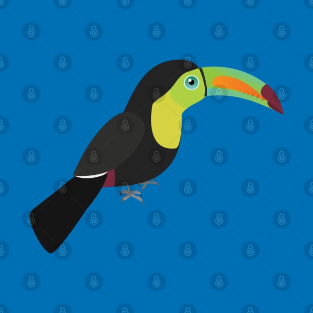 Keel billed toucan by Bwiselizzy