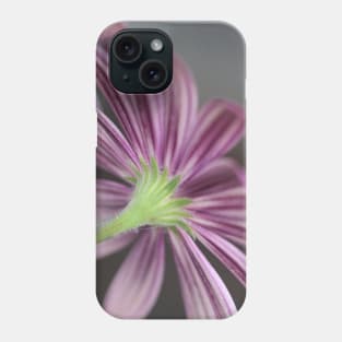 Beautiful Pink and Purple Daisies - Daisy Flower Stripes Phone Case