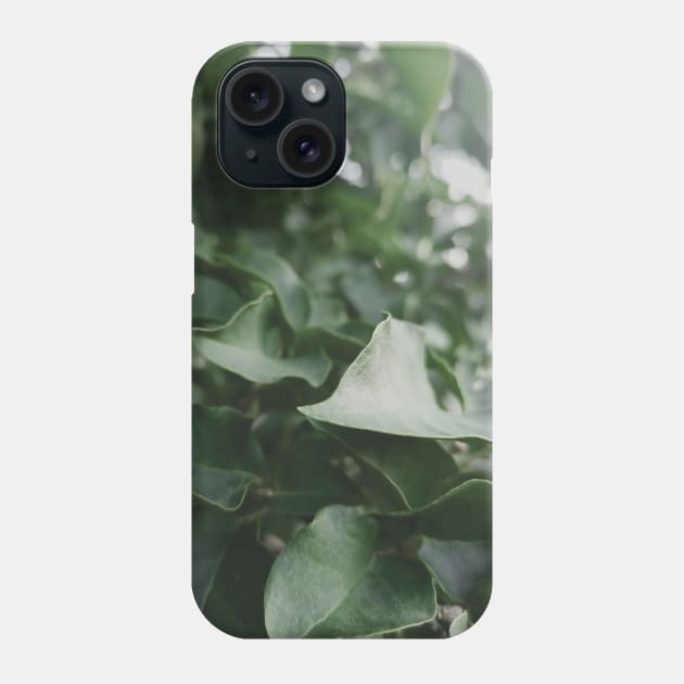 green leaves, dark green leaf, plant, nature Phone Case by MarJul