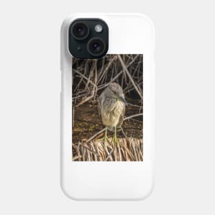 Juvenile Black Crowned Night Heron Phone Case