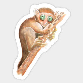 Tarsier Stickers Teepublic