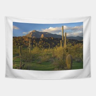 Saguaro Cacti Picacho Mountains Picacho Peak State Park Tapestry