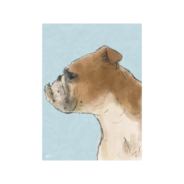 Bulldog Portrait by colinrac