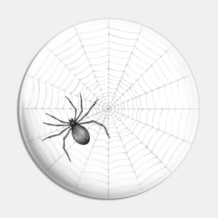 Spiders Web Pin