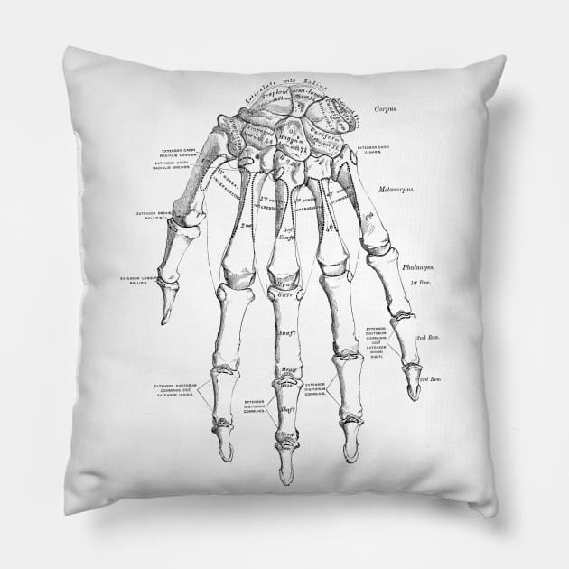 Human Body - Hand Pillow by be yourself. design