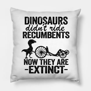 Dinosaurs Didn't Ride Recumbents Now They Are Extinct Funny Recumbent Bike Pillow