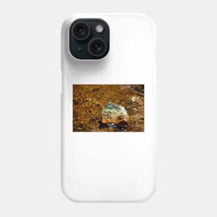 Treasue at the Waters Edge Phone Case