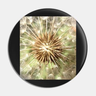 Make a Powerful Wish with a Dandelion Poof Pin