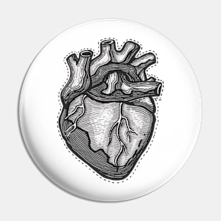 Human heart illustration Pin