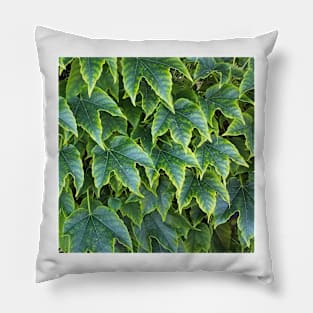 Green Yellow Ivy Leaves Pillow