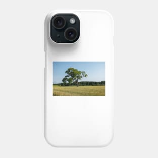 The lonely old tree in the field Phone Case