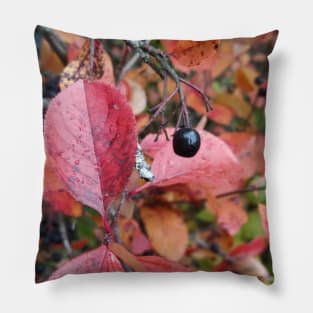 Nature (Photo) Pillow