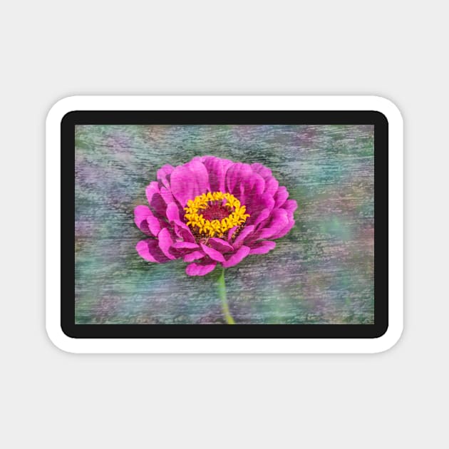 Zinnia Magnet by RosNapier